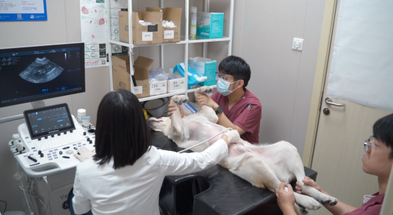 1764741977411400.png 11.png