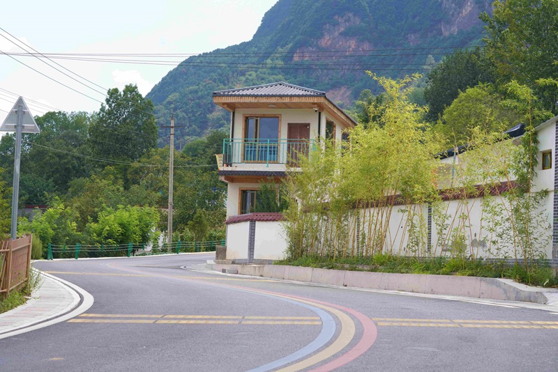 1764746715605606.jpg 1.jpg