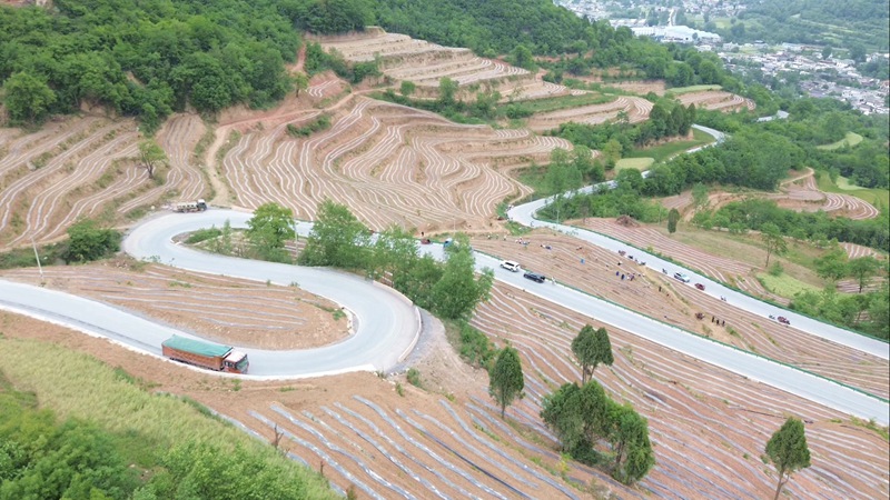 1764746725920284.jpg 3.jpg