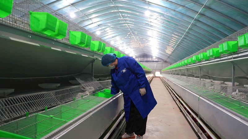 1764746730825181.jpg 4.jpg