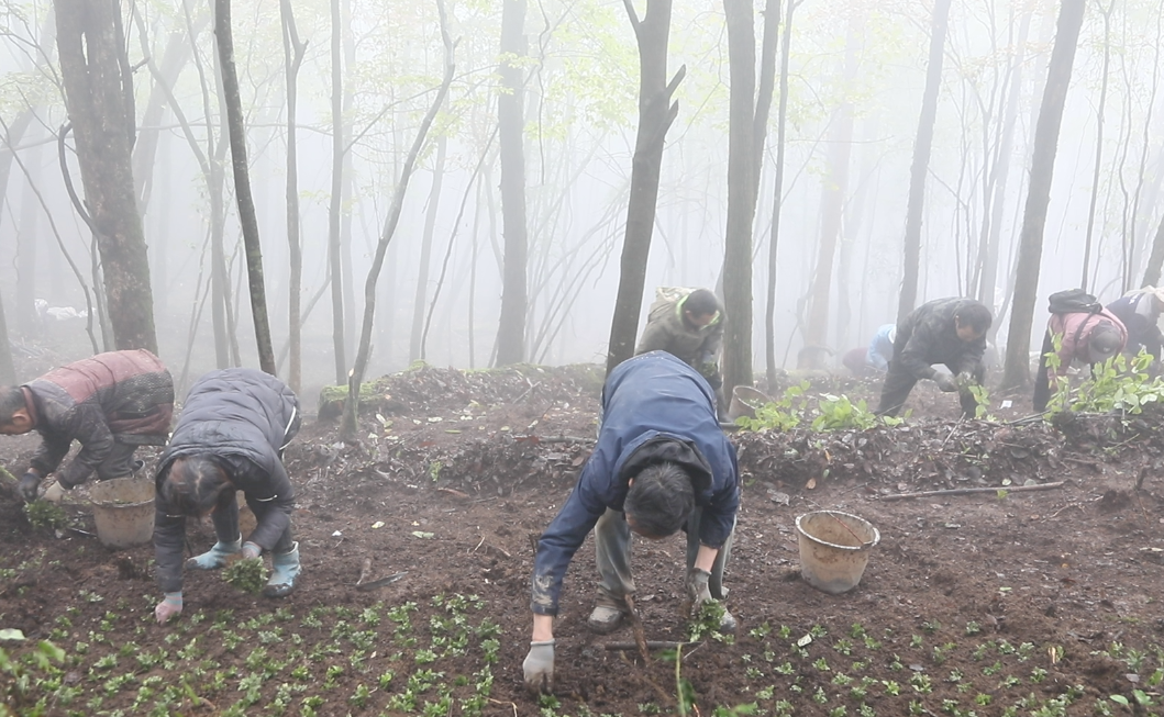 1764751161548195.png 22.png