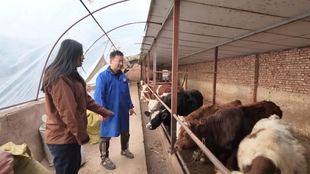 1764751417889414.jpg 照片1.jpg