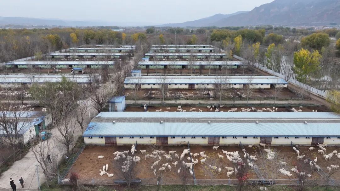 1764751427975695.jpg 照片2.jpg