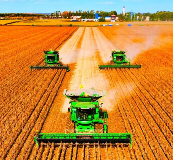 1764828727578933.png 11.png