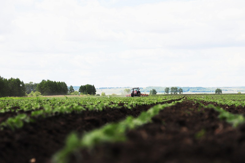 1764829349253882.jpg 1.jpg