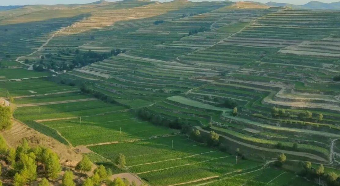 1764839195769889.png 照片1.png