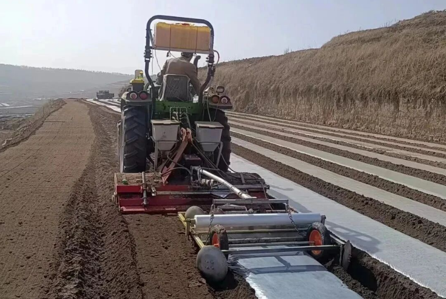 1764839205694250.png 照片2.png