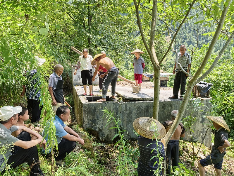 1764917225402920.jpg 222.jpg