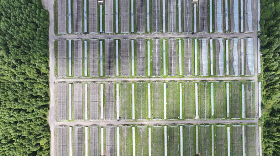 1764917698676881.png 22.png