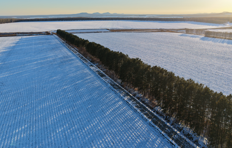 1764918816121229.png 22.png