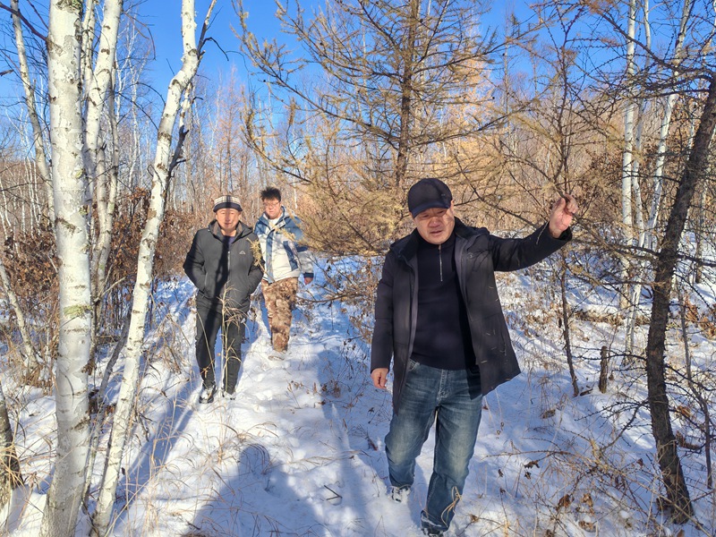 1764919355904646.jpg 巡山清套 (1).jpg