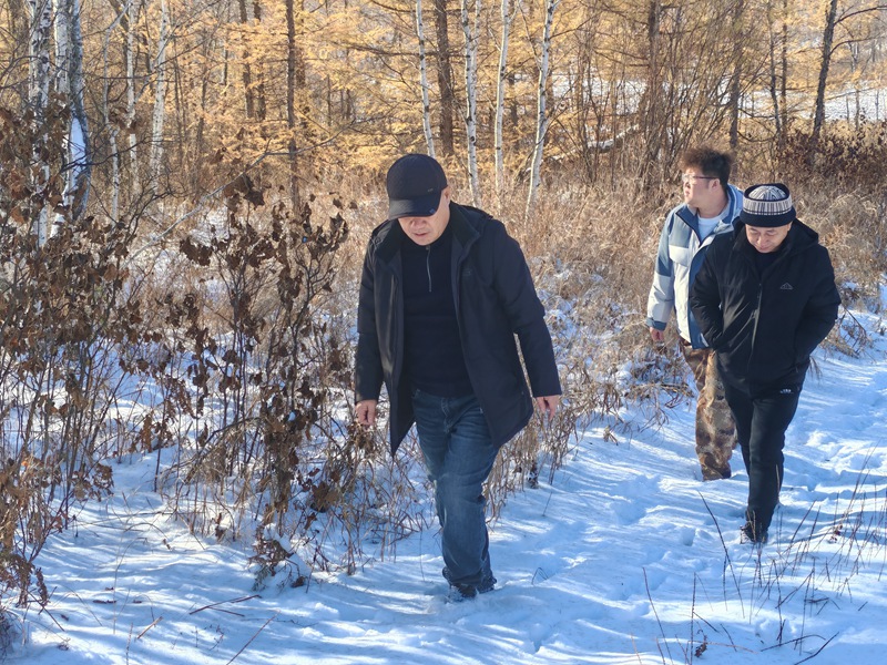 1764919361157733.jpg 巡山清套 (2).jpg