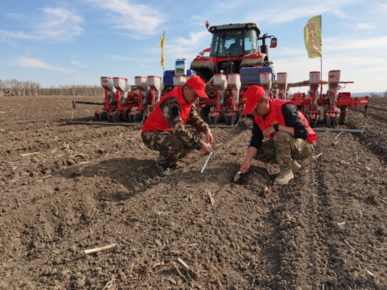 1764920343670339.jpg 1.jpg