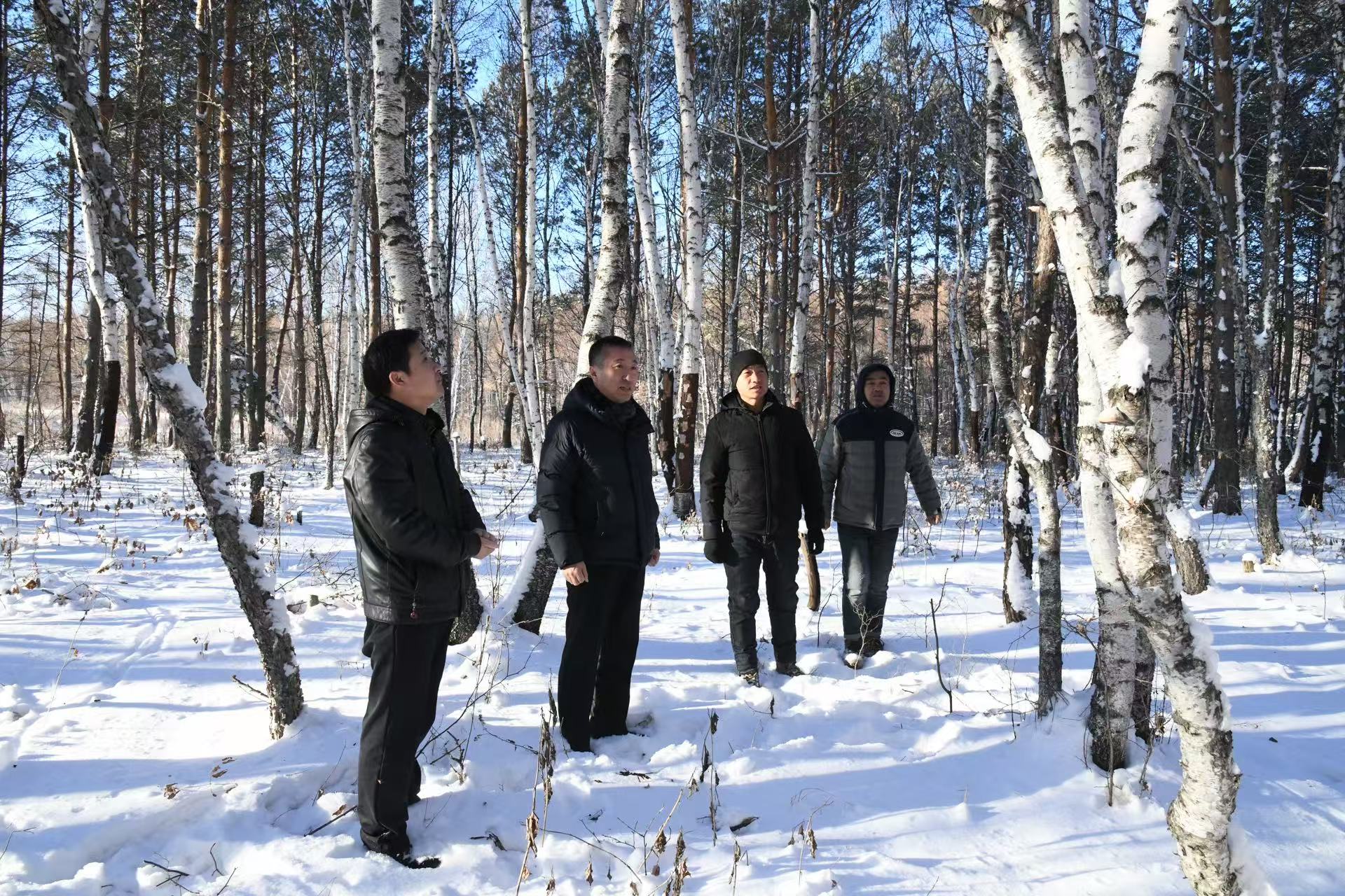 1764922518671680.jpg 7b5cecca65747079202f8b1367d25dc8.jpg