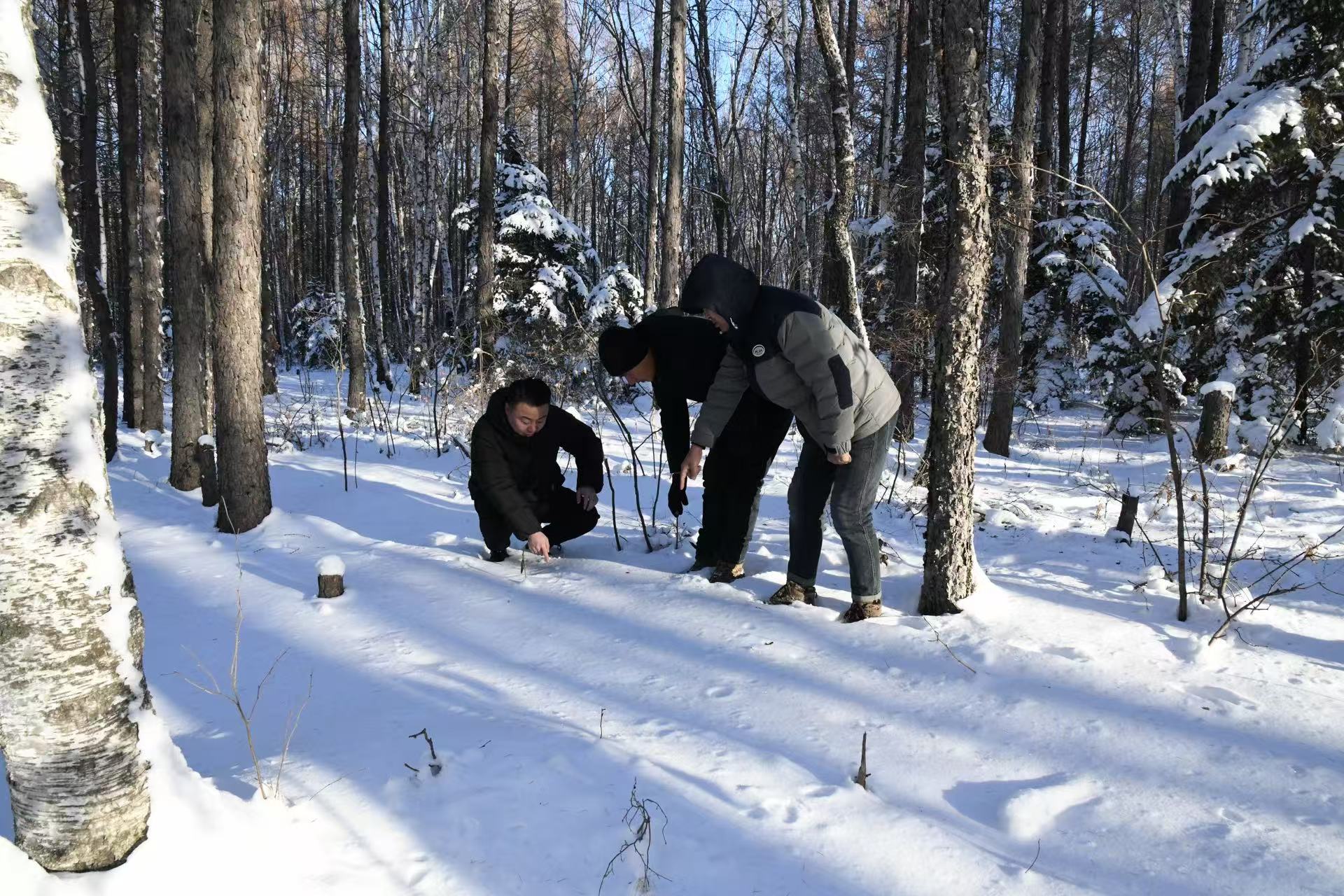 1764922524819908.jpg a0638ed91c96748d739668487622ad2d.jpg