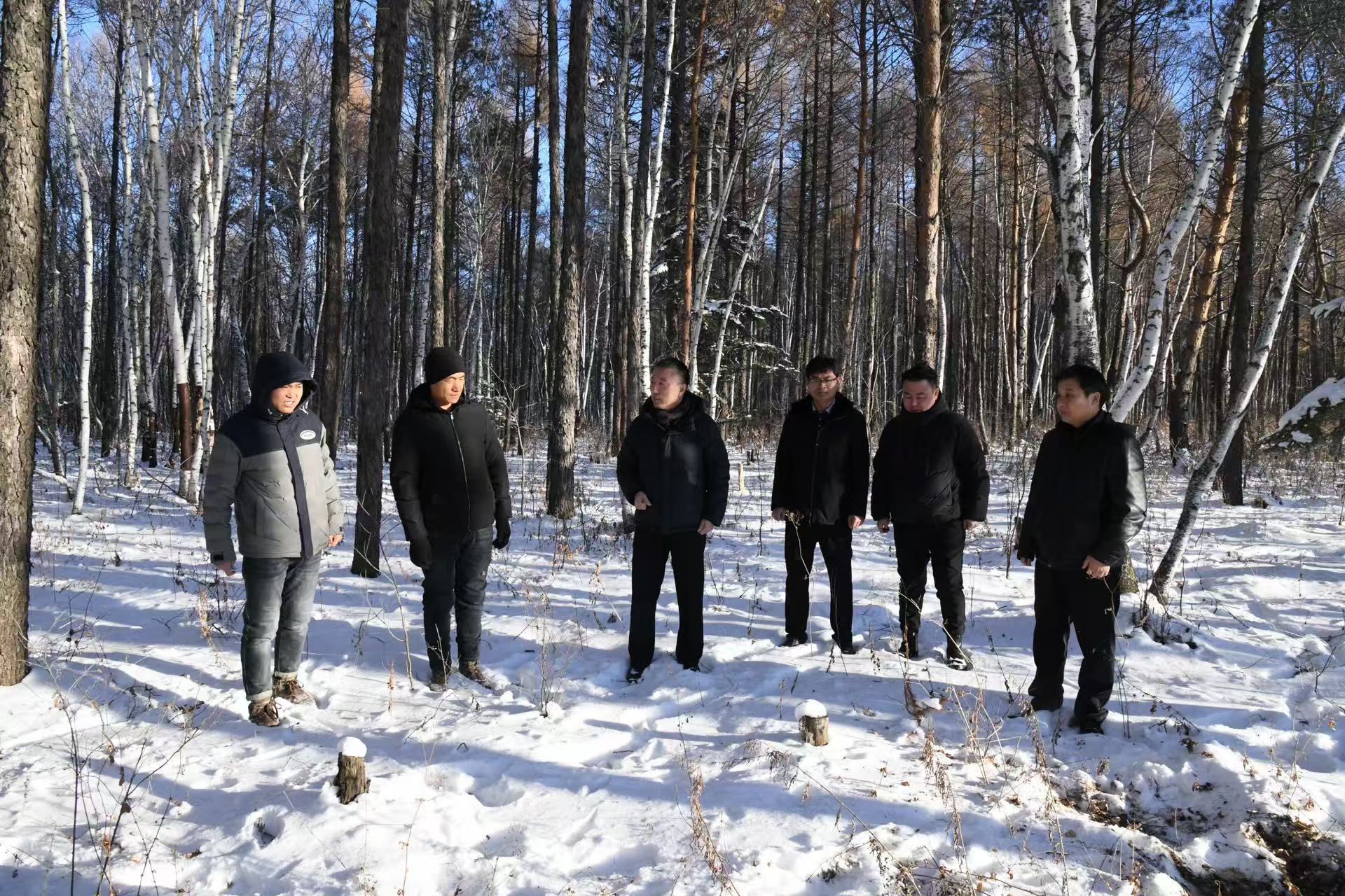 1764922528583019.jpg bc731d1c111218223637f6543d218c62.jpg