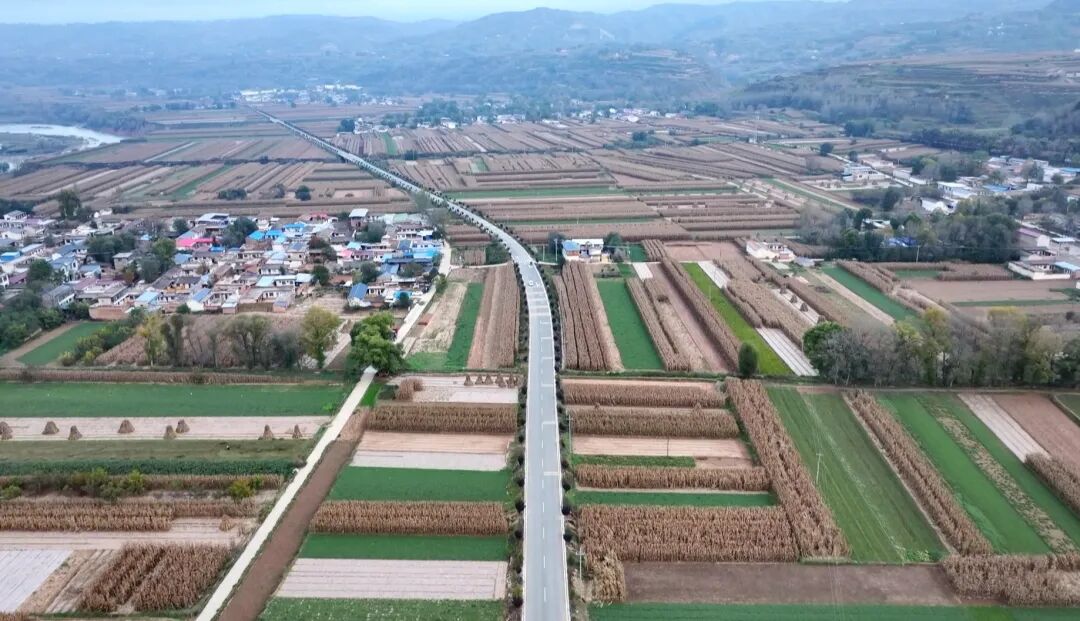 1764924761753268.jpg 照片2.jpg