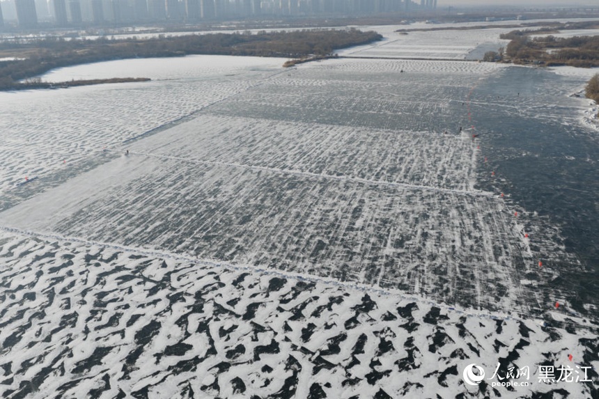 哈尔滨：又到一年采冰时