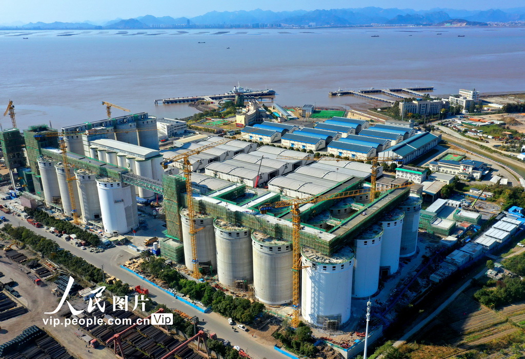 2025年12月6日拍摄的位于浙江省玉环市大麦屿码头的中央储备粮玉环直属库有限公司仓储项目施工现场。