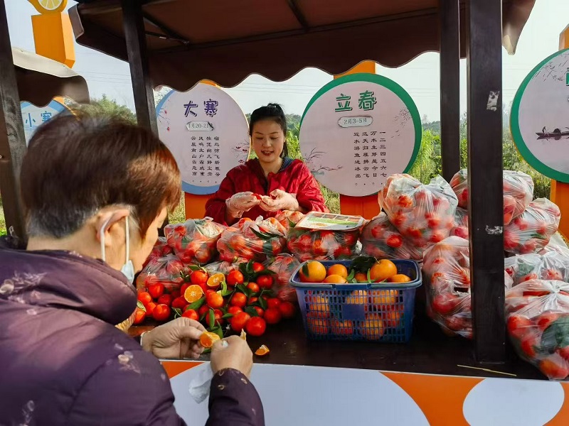 1765177412968288.jpg 11.jpg