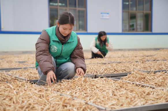 1765184924640171.png 33.png