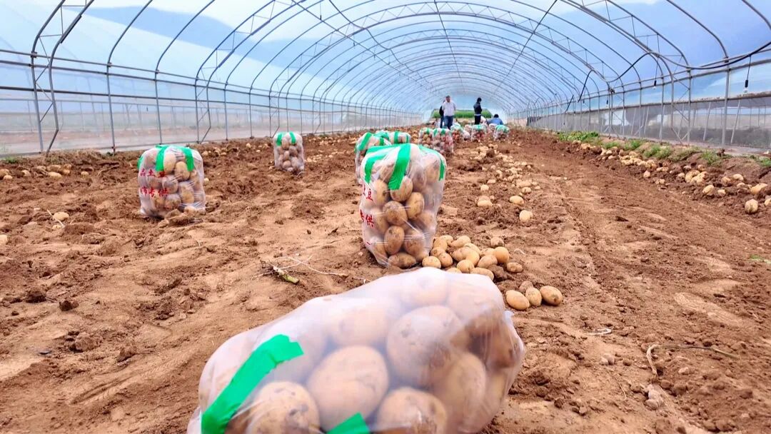 1765185068362380.jpg 照片2.jpg