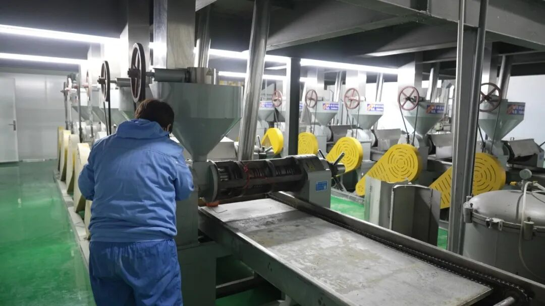 生产车间 孙柏玲摄.png