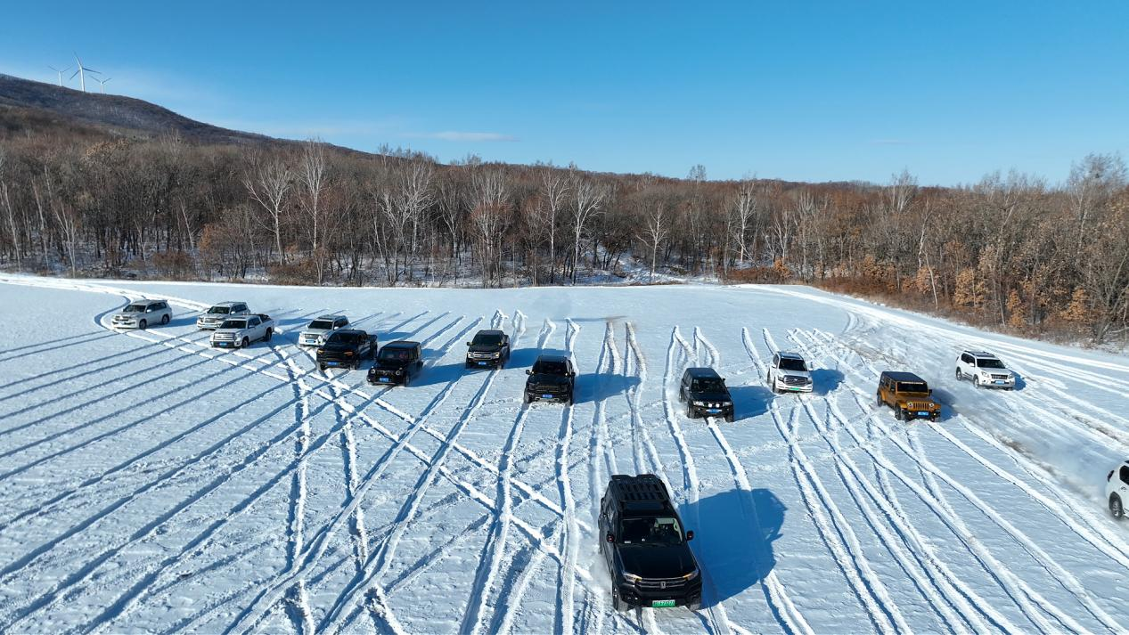 1765269631719147.png 图片1.png