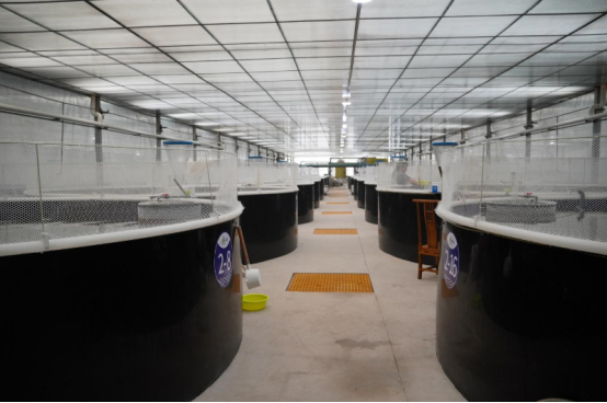 1765348760490868.png 照片1.png