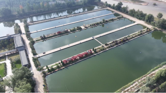 1765348775630439.png 照片3.png