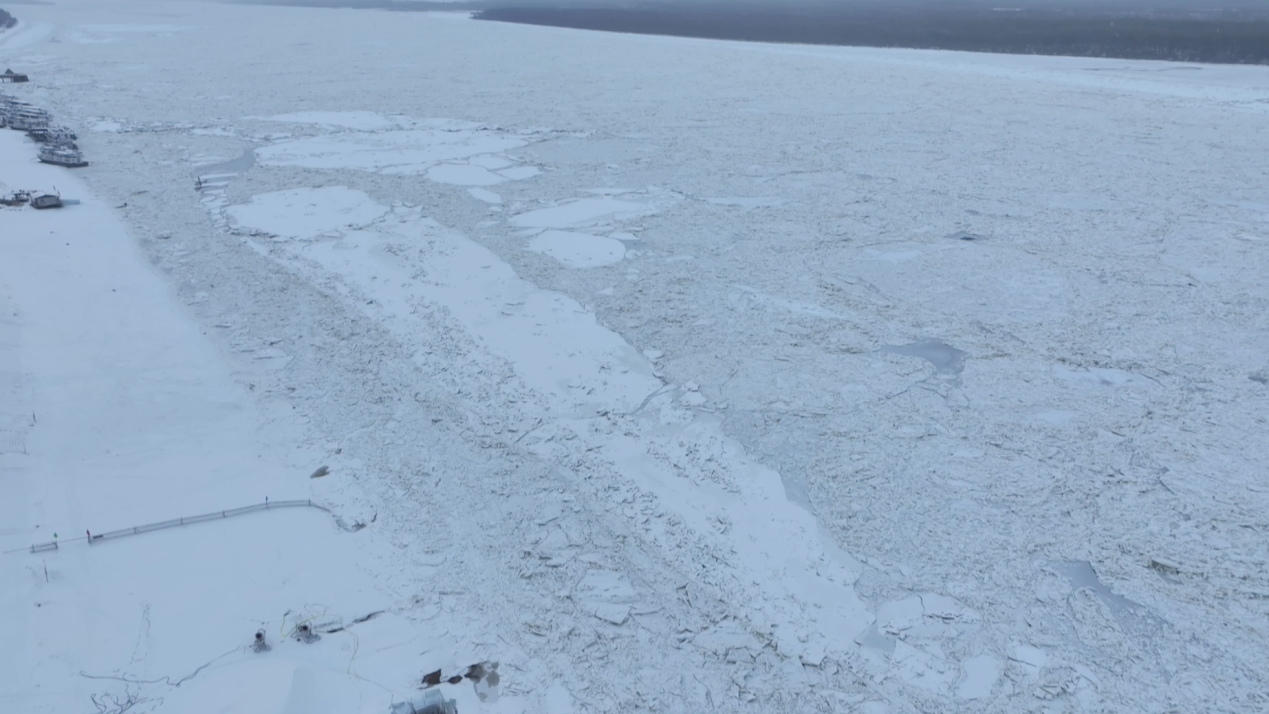 1765350261867242.png 图片1.png