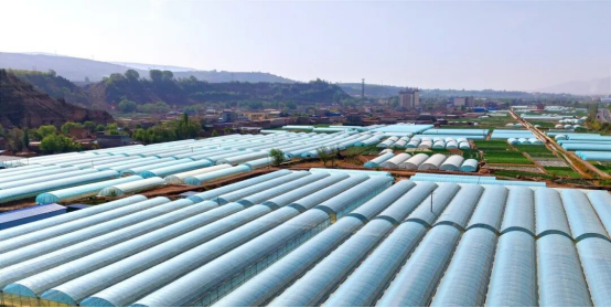 1765434841100748.png 照片3.png