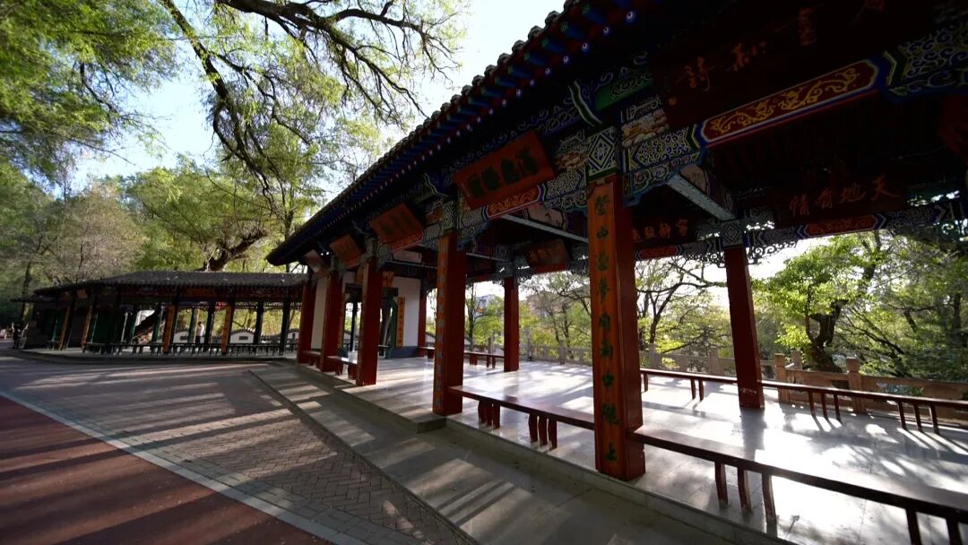 1765434949758813.jpg 照片1.jpg