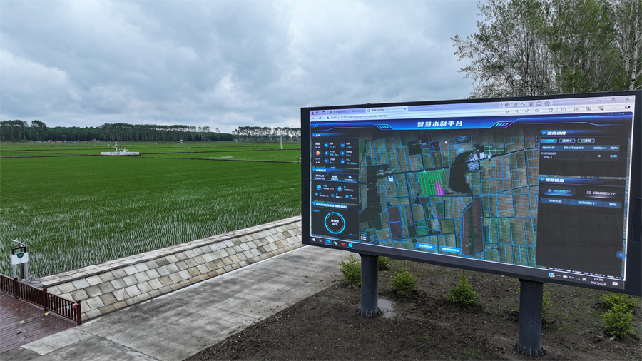 1765438201982180.jpg 图片1.jpg