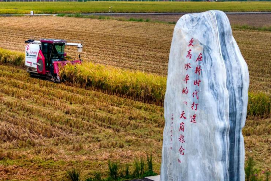 1765441924278240.png 11.png