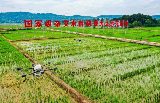 1765441931599836.png 22.png