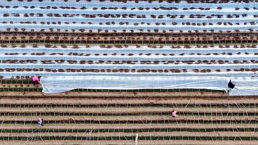 多地积极应对寒潮天气