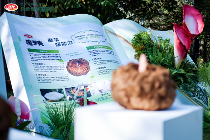 1765519733623733.png ͼ2.png