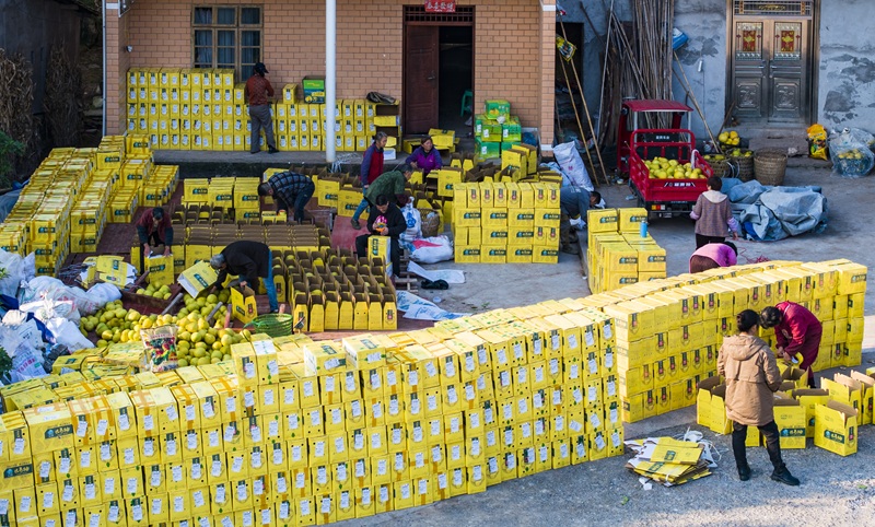 1765526637424717.jpg 11.jpg