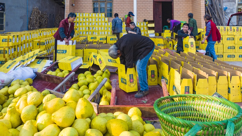 1765526644792567.jpg 22.jpg