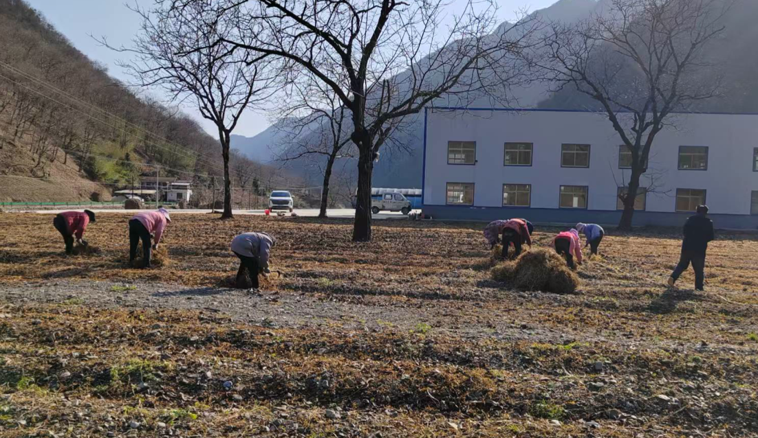 1765526746553545.png 11.png