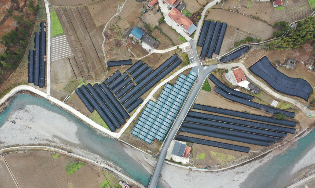 1765526755774844.png 22.png