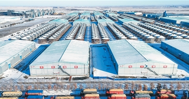 1765588999642478.png 11.png