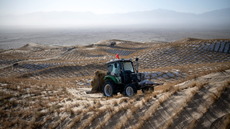 甘肃阿克塞：雪后忙治沙