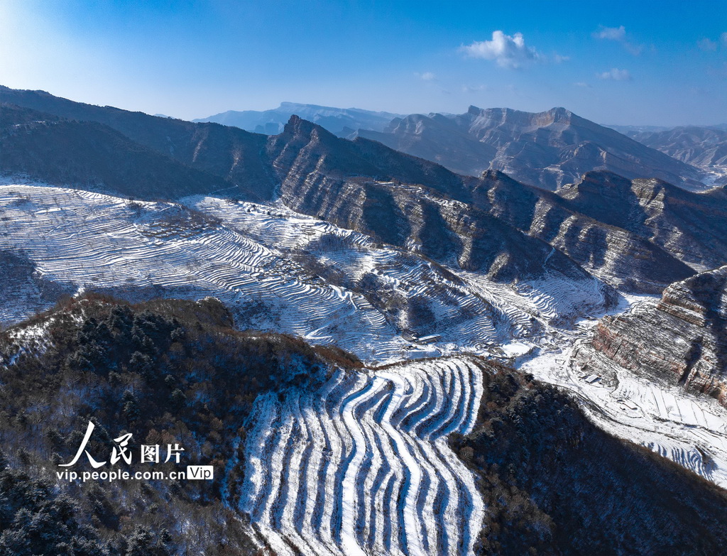 山西左权：雪后梯田风景壮美【2】