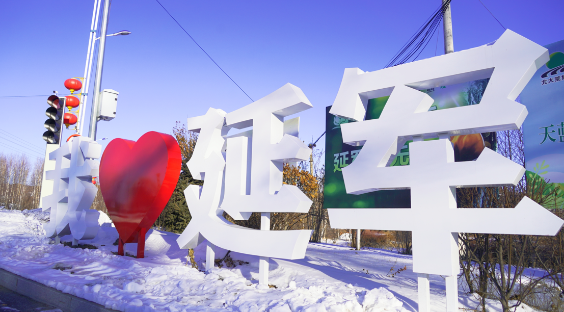 1765779513371310.png 11.png