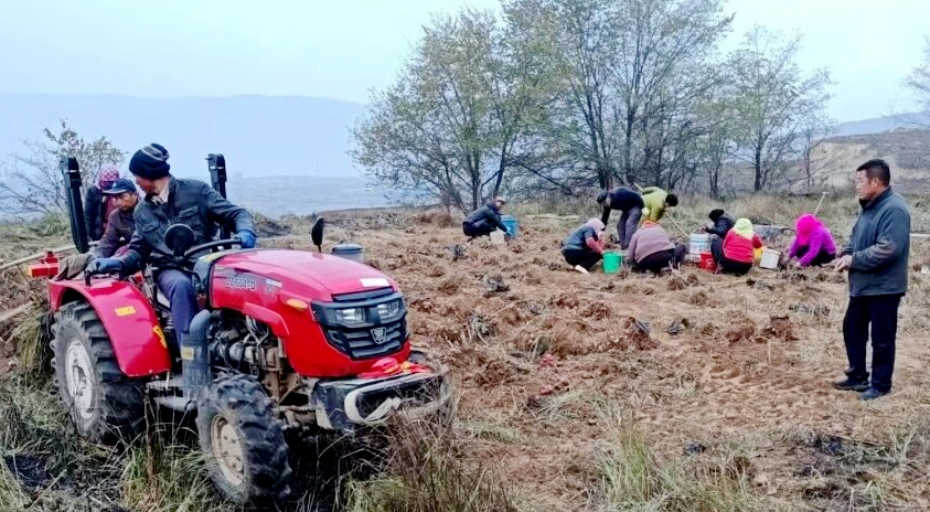 1765788802206990.jpg 照片2.jpg