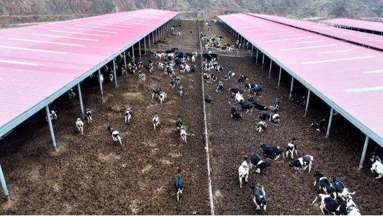 1765788921222358.png 照片1.png