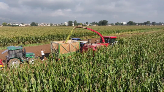 1765788929380191.png 照片2.png