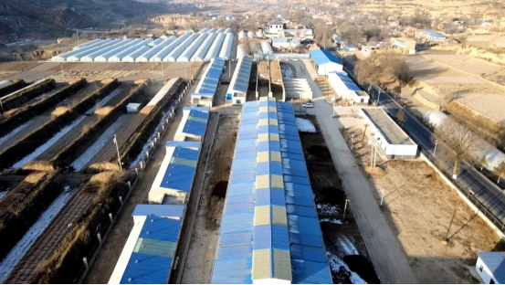 1765788936782057.png 照片3.png